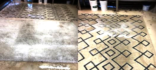 Modern Rug Cleaning Service Palm Beach