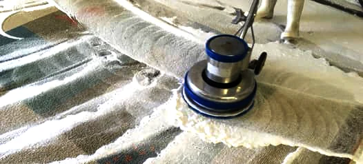 Pet Odor & Stain Removal Service